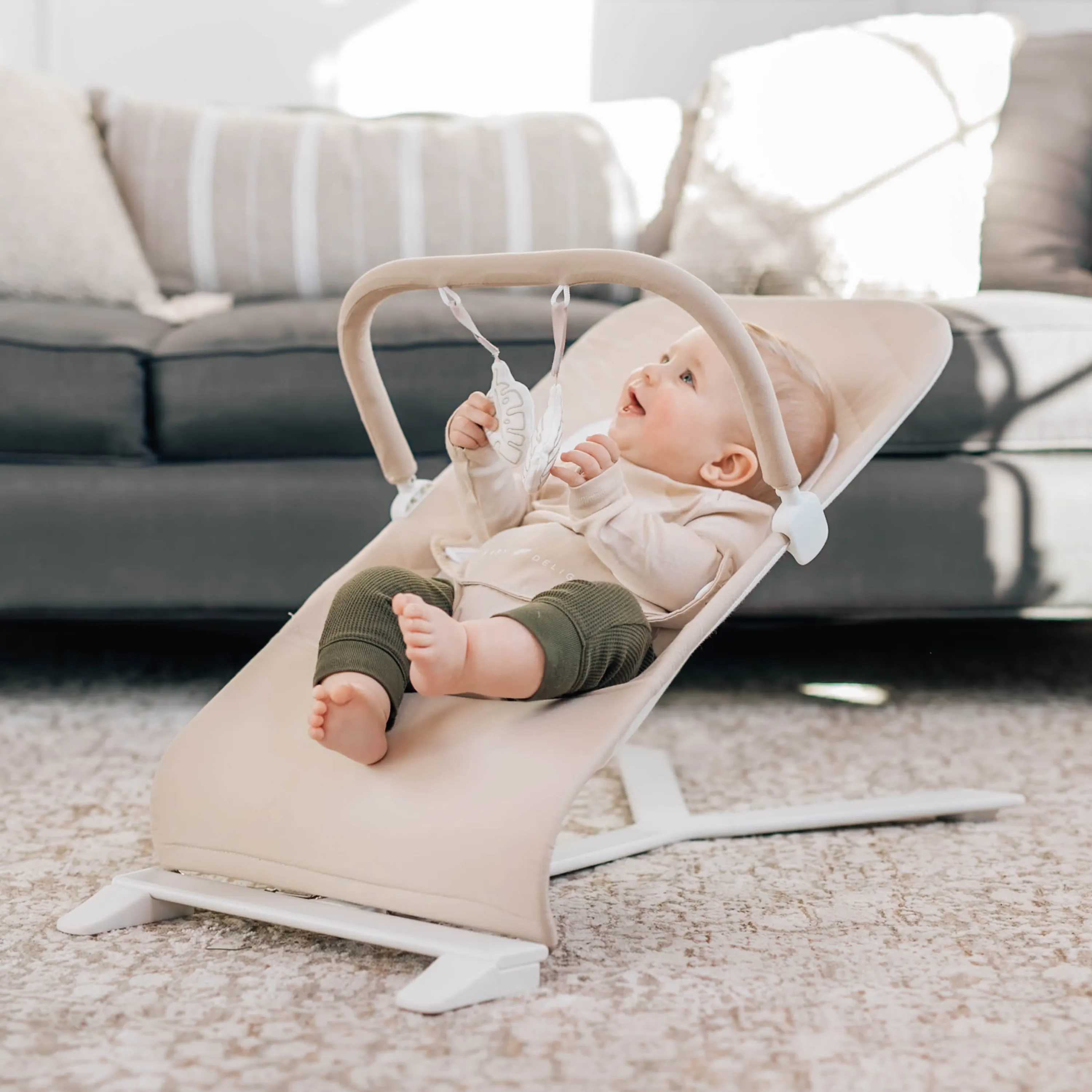 Alpine Organic Deluxe Portable Bouncer - Organic Oat