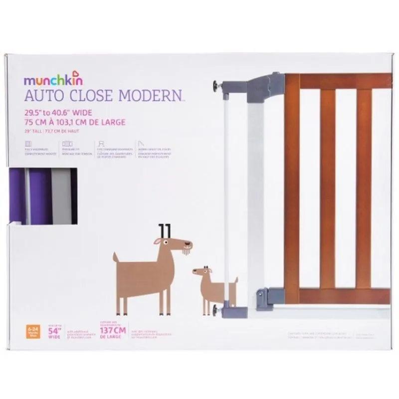 Auto Close Modern Gate