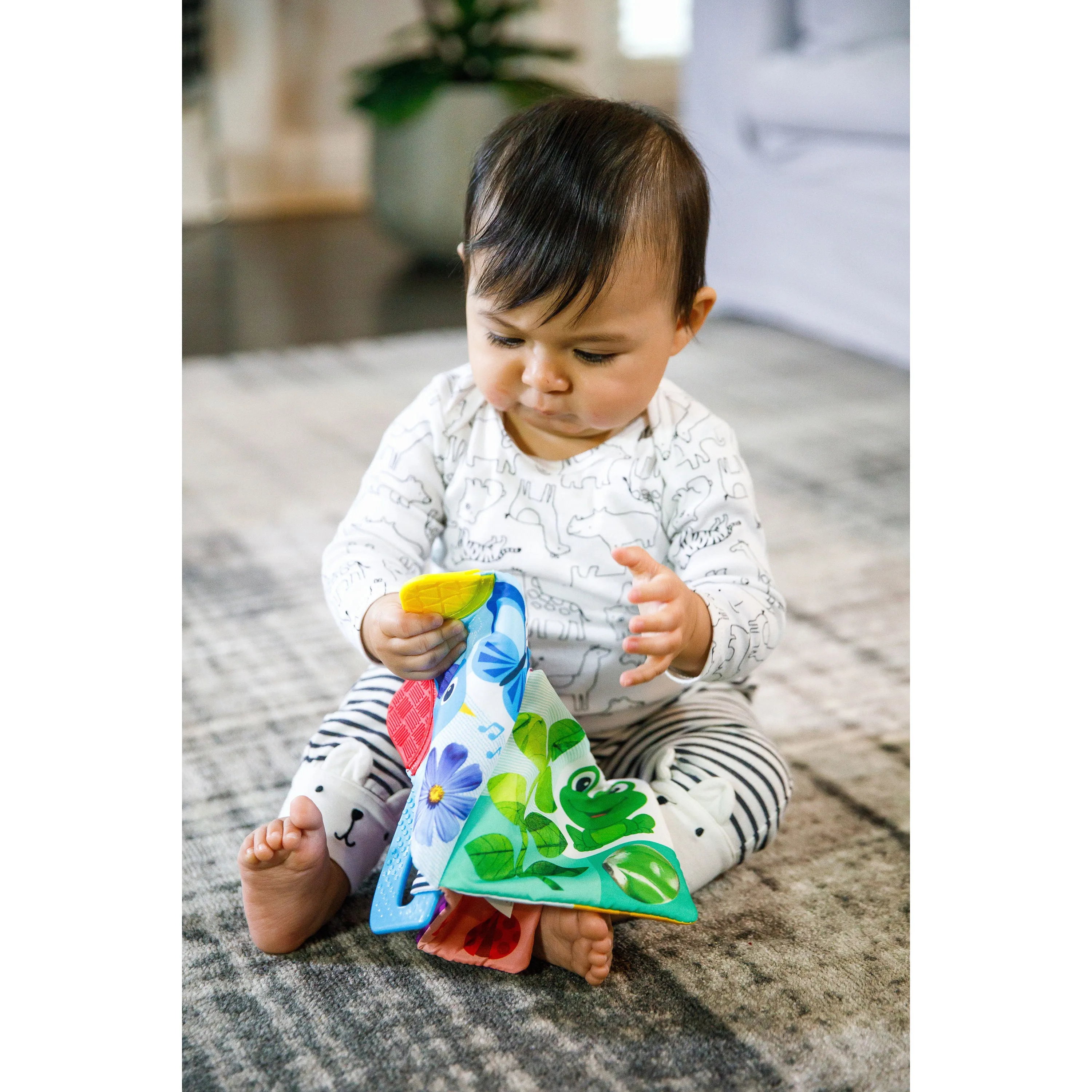 Baby Einstein Curious Explorers Teether Book Take-Along Toy