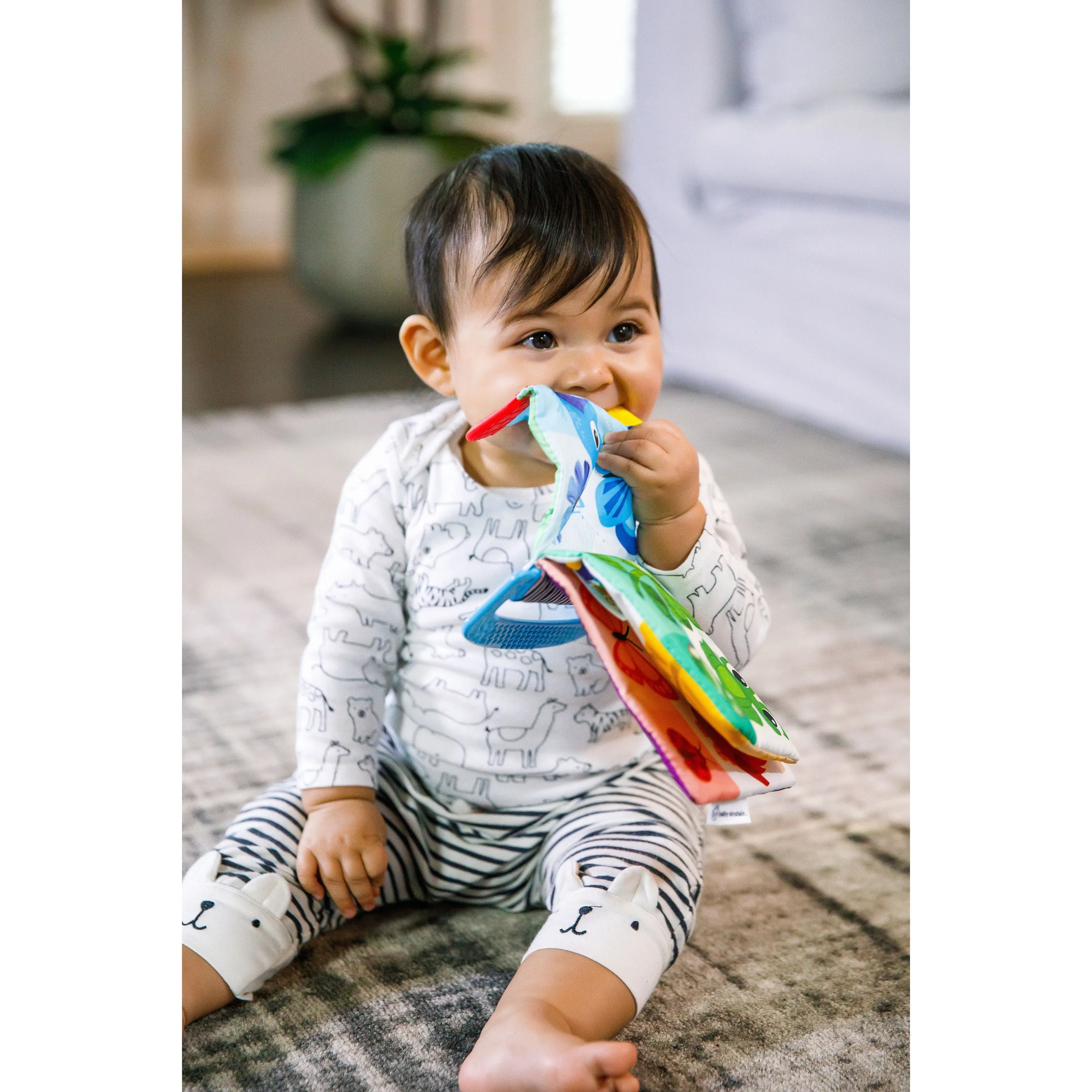 Baby Einstein Curious Explorers Teether Book Take-Along Toy