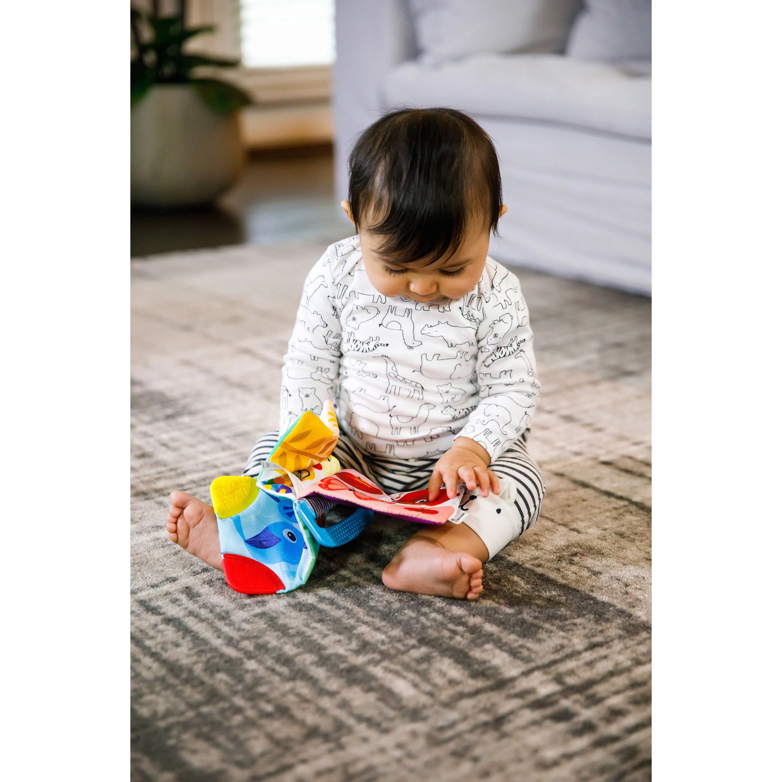 Baby Einstein Curious Explorers Teether Book Take-Along Toy