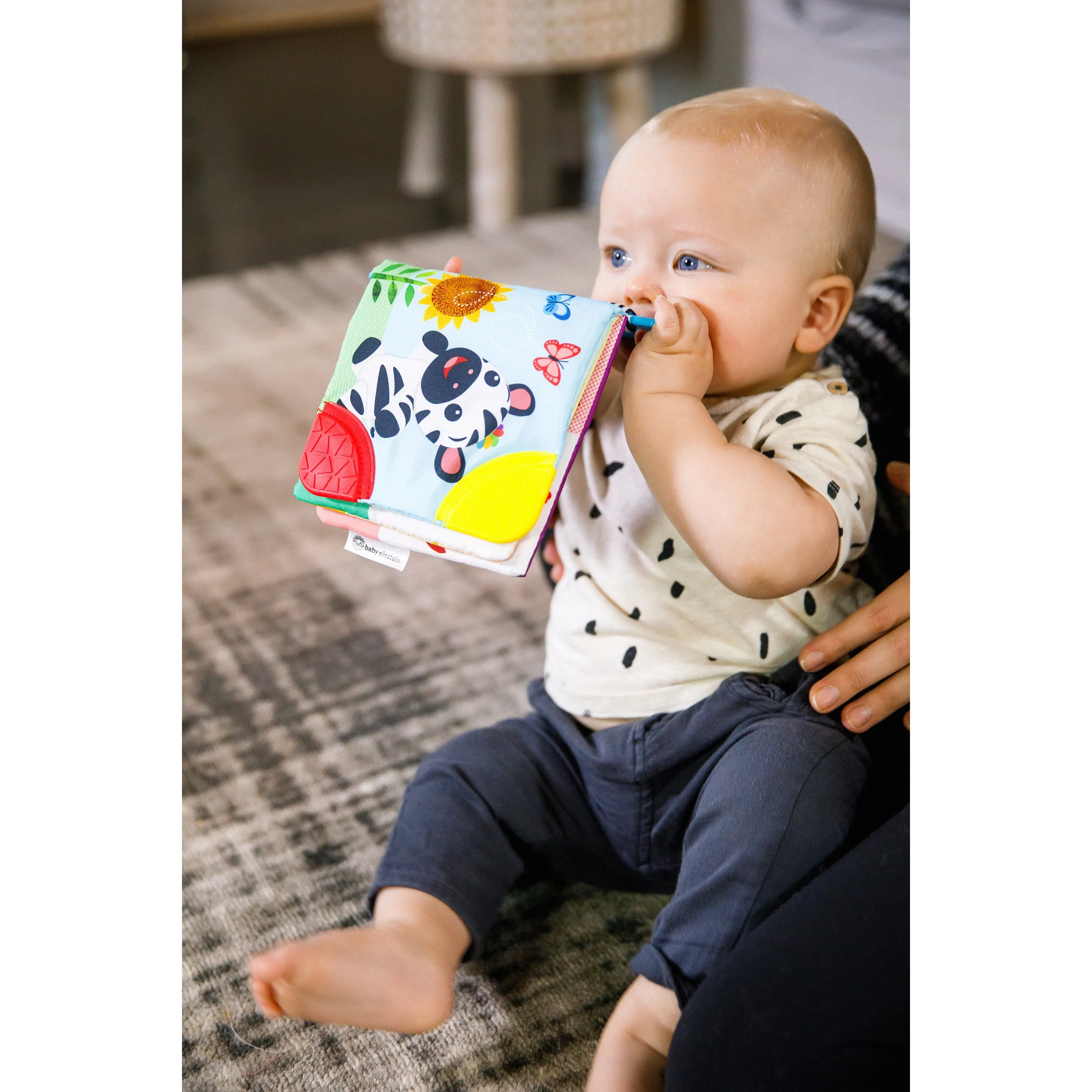 Baby Einstein Curious Explorers Teether Book Take-Along Toy