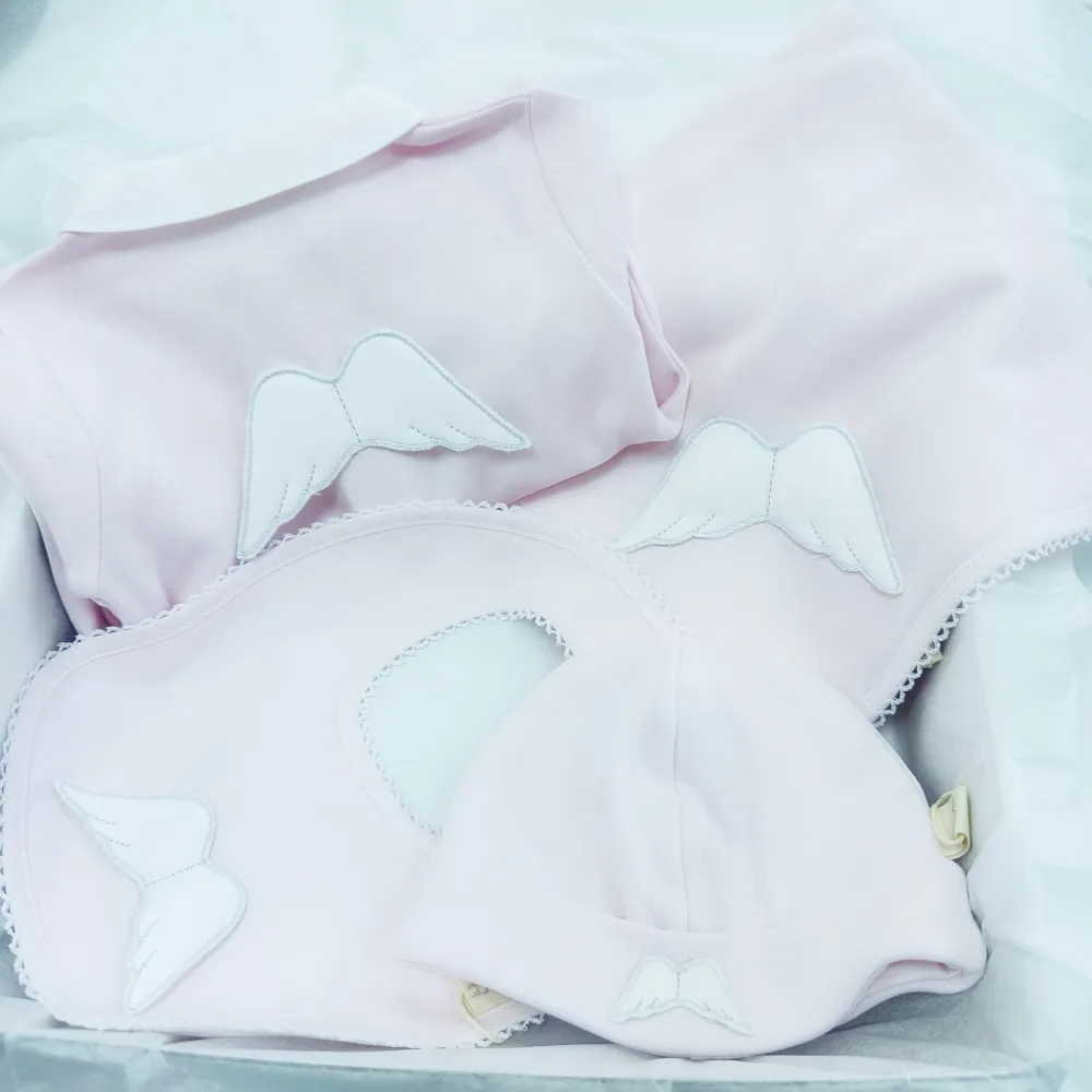 Baby Gi Pink Angel Wings Gift Set