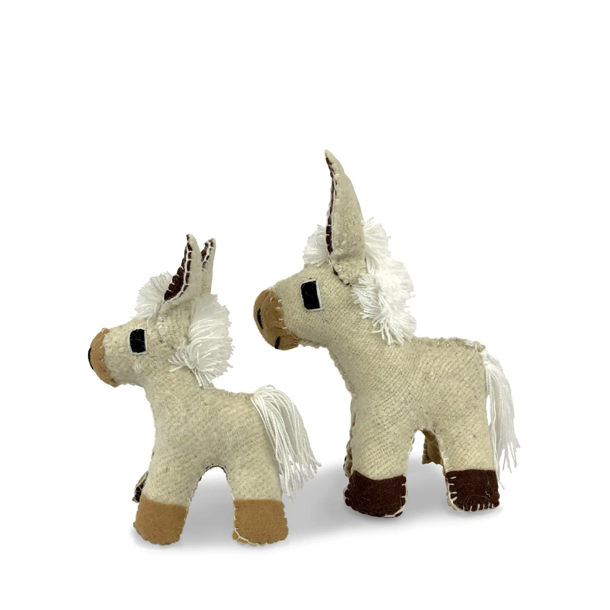 Burro   Baby