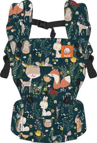 Emerald Forest - Tula Explore Baby Carrier