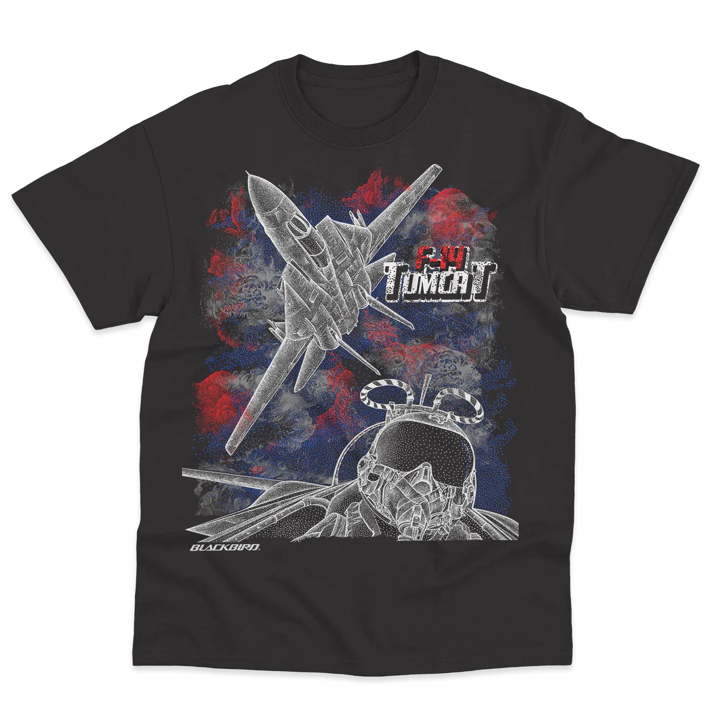 F-14 TOMCAT PILOT