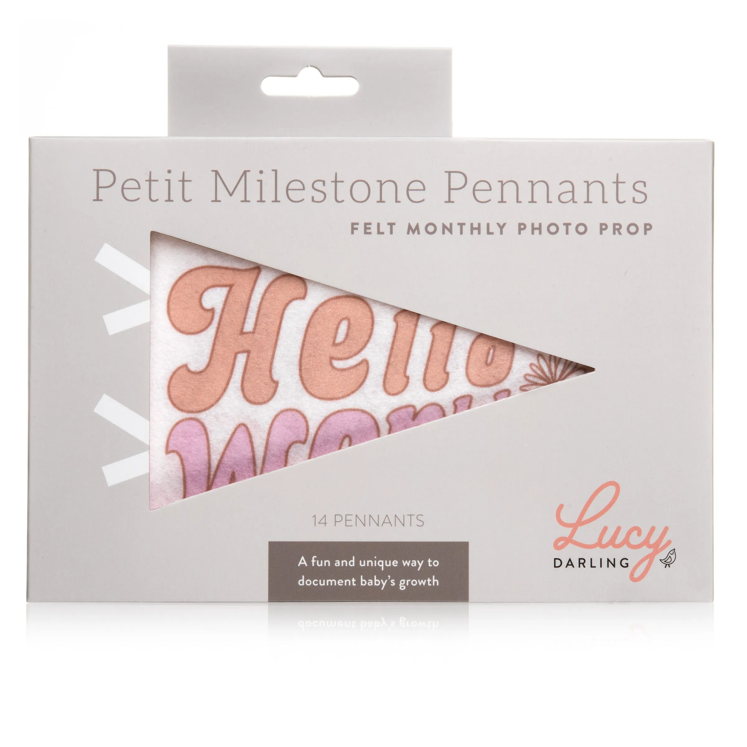 Flower Child Petit Milestone Pennants