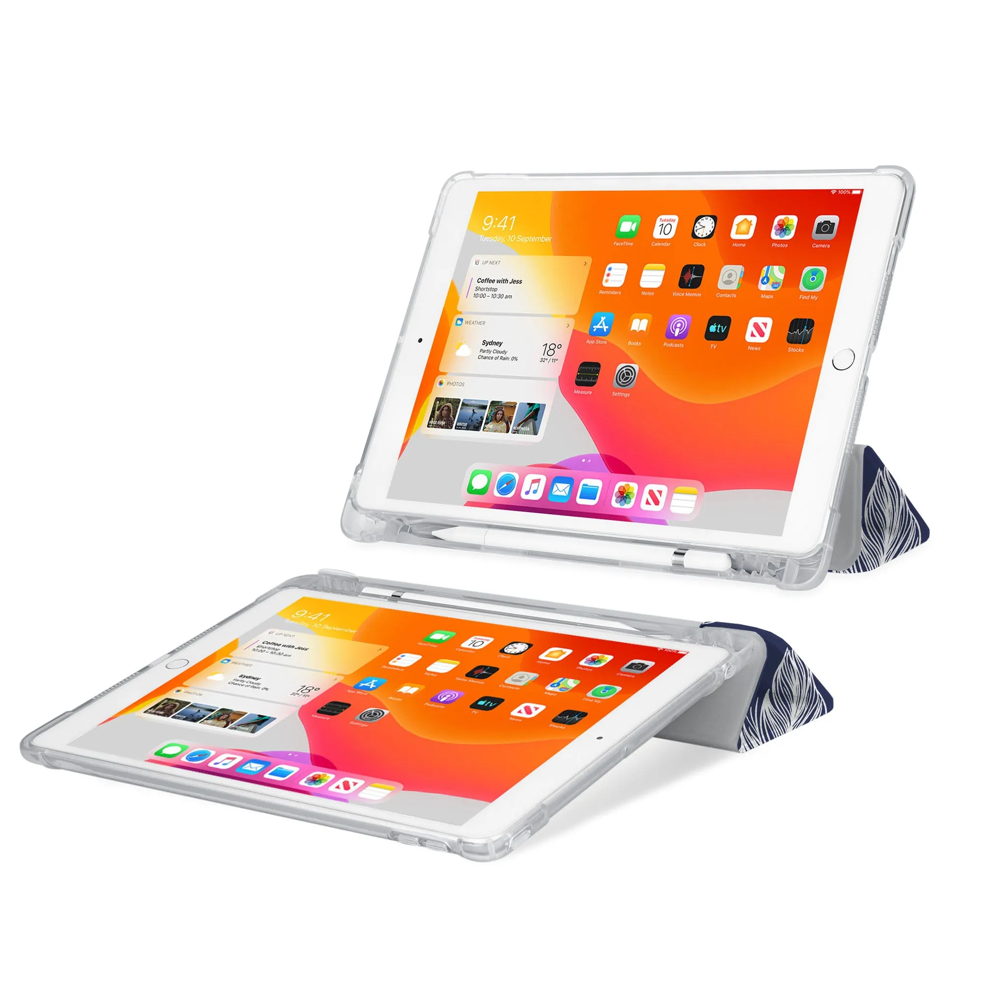 iPad SeeThru Case - Feather