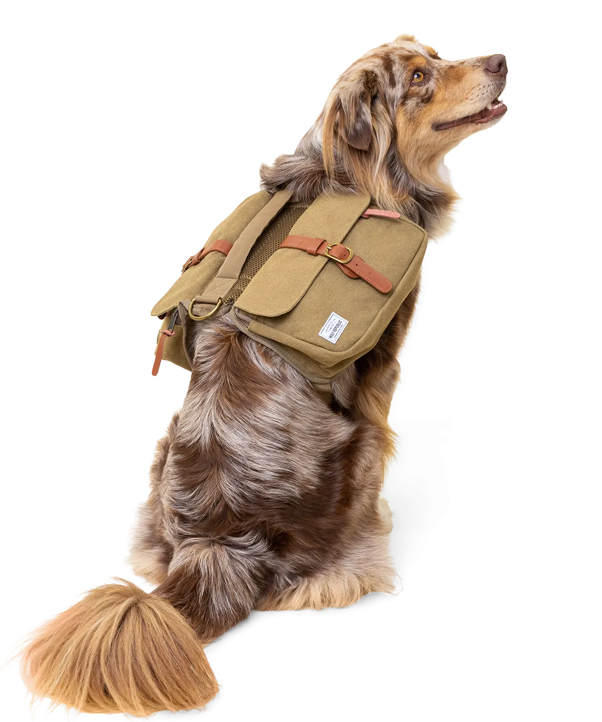 Ranger Pack - Whiskey