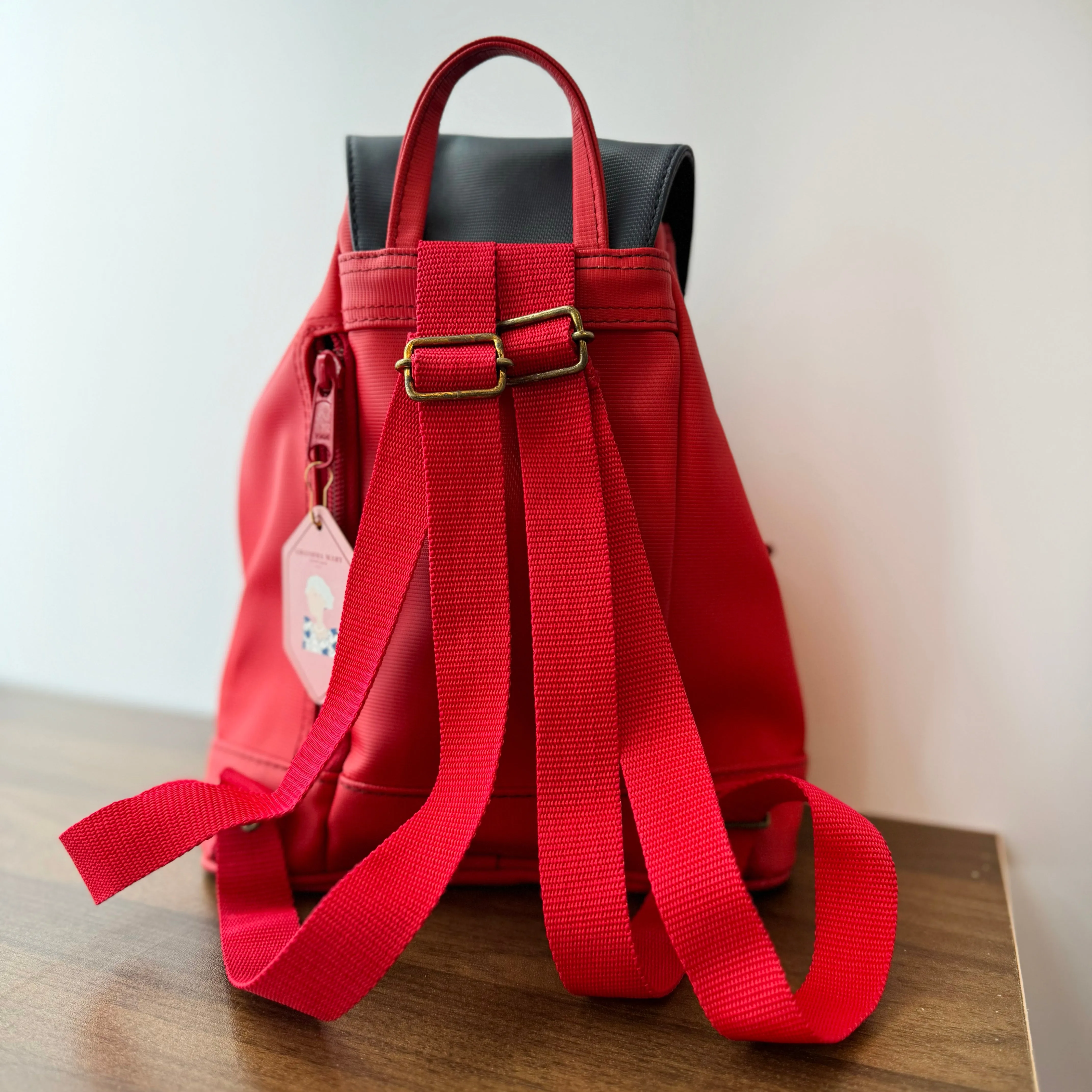Roberta di camerino Mini Backpack